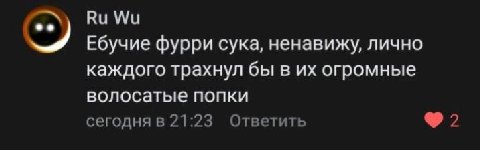 Ебучие фурри сука, ненавижу, лично каждого трахнул бы в огромные волосатые попки сегодня в 21:23 Ответить