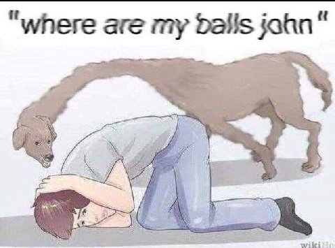 “where are my Dalls jahn“ 5) Я a 4