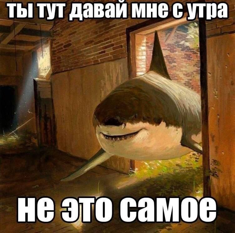 ты тут даваи мне с утра не это самое