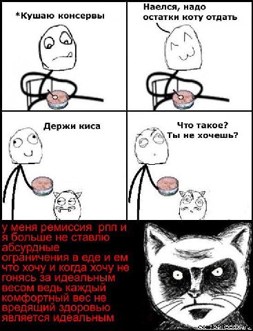 Наелся, надо *Кушаю консервы остатки коту отдать Держи киса Что такое? we не хочешь? 4