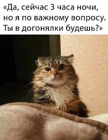 «Да, сейчас 3 часа ночи, но я по важному вопросу Ты в догонялки будешь?»