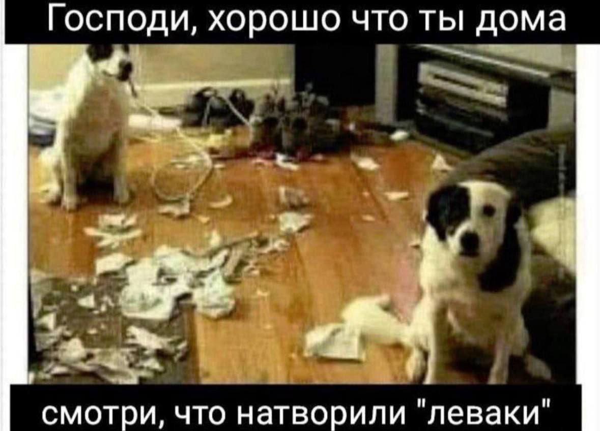 Господи, хорошо что ты дома смотри, что натворили "леваки"