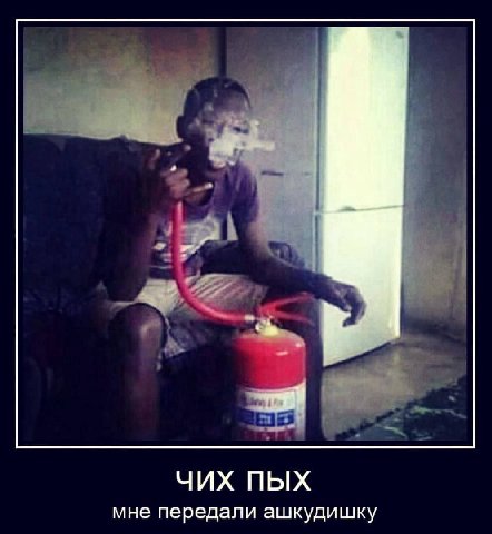 ЧИХ ПЫХ мне передали ашкудишку