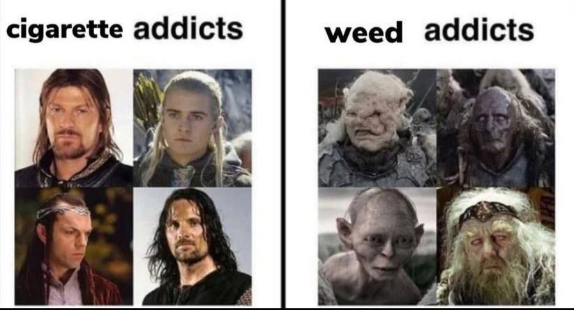 cigarette addicts weed addicts