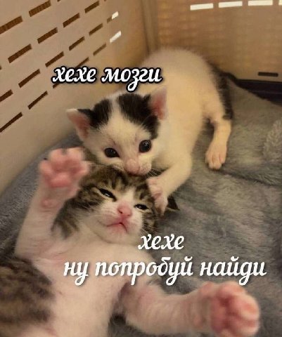хехе хехе ну попробуй найди