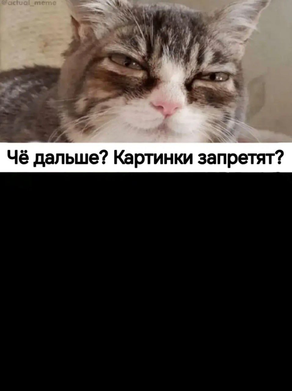 Чё дальше? Картинки запретят?