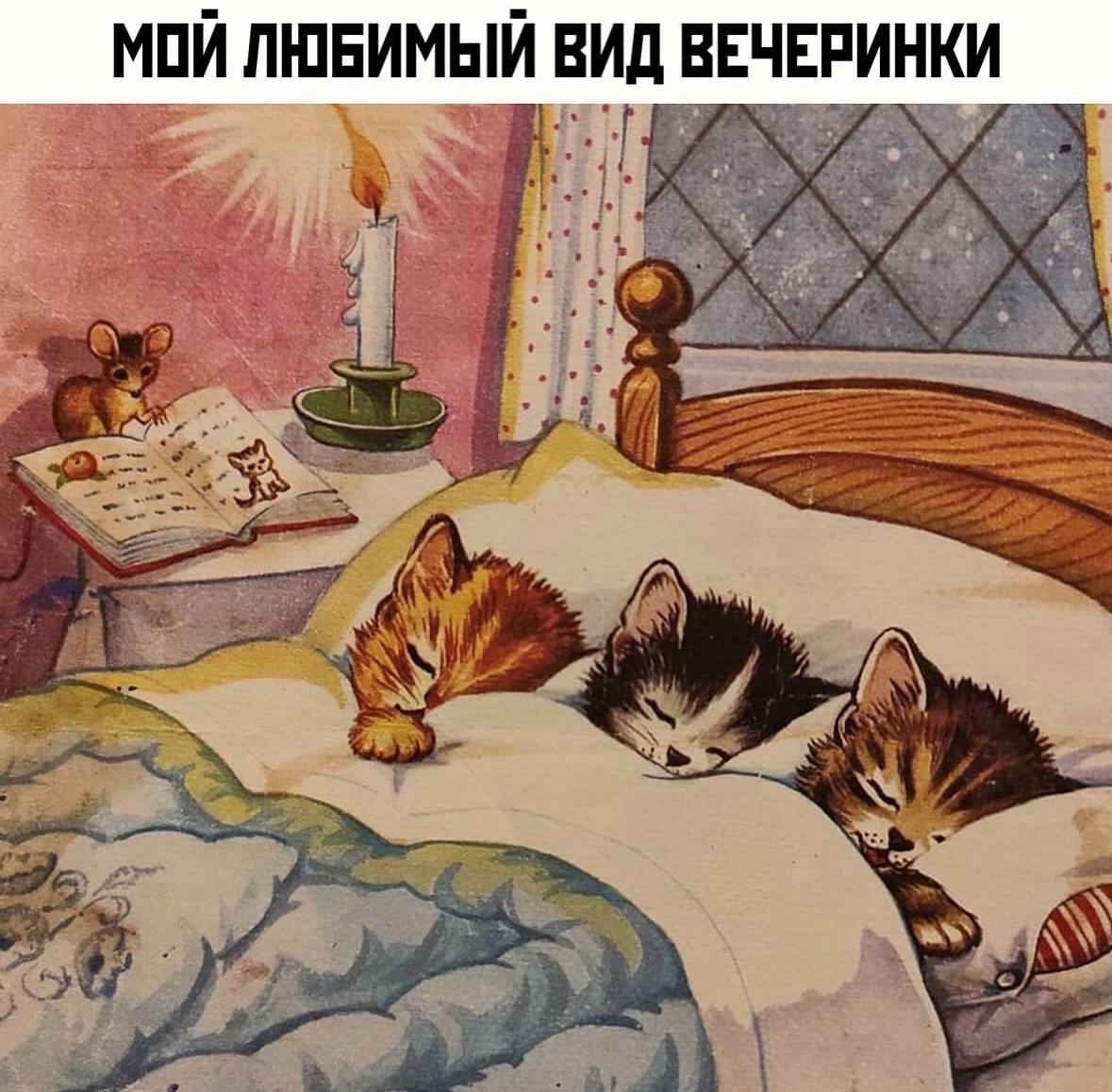 МОЙ ЛЮБИМЫЙ ВИД ВЕЧЕРИНКИ