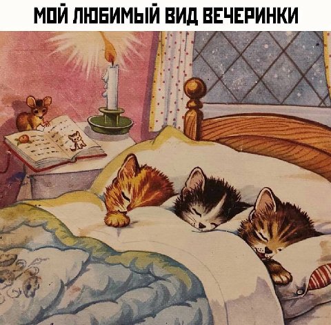 МОЙ ЛЮБИМЫЙ ВИД ВЕЧЕРИНКИ
