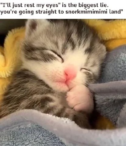 "I'll just rest my eyes" is the biggest lie. you're going straight to snorkmimimimi land"