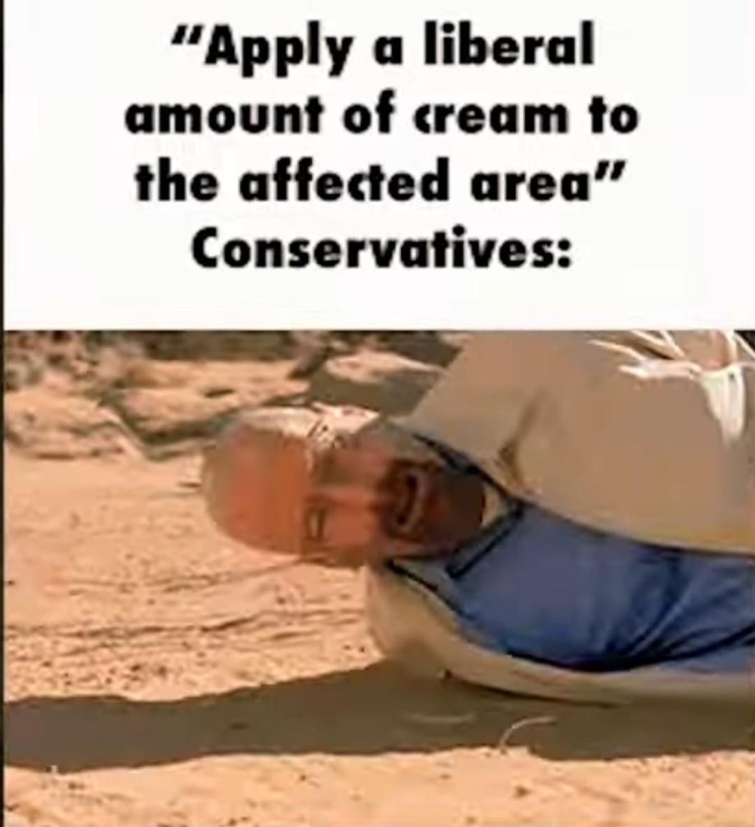 “Apply a liberal amount of cream to the affected area” Conservatives:
