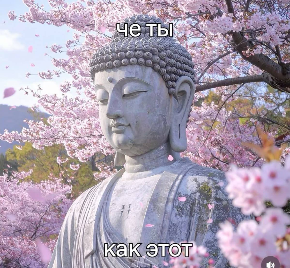 четы be we я: AS К