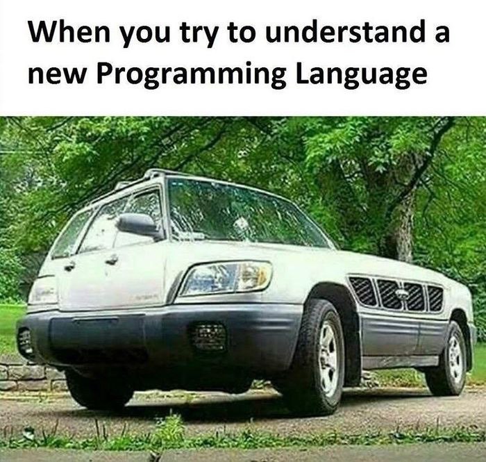 When you try to understand a new Programming Language 5 vig rap а