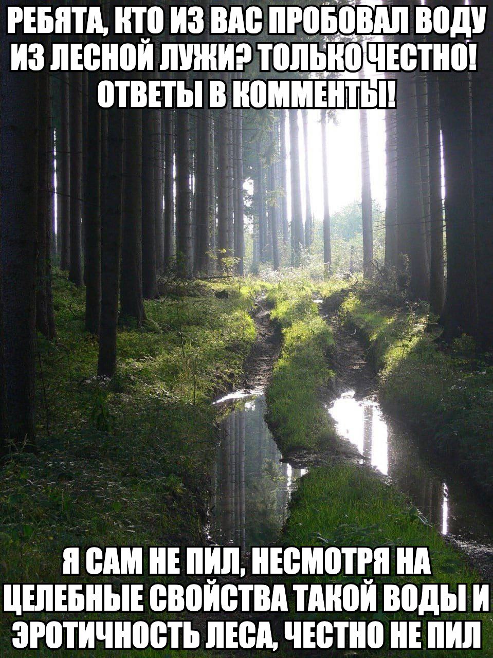 РЕБЯТА, КТО ИЗ ВАС ПРОБОВАЛ ВОДУ ИЗ ЛЕСНОЙ ЛУЖИ? только ЧЕСТНО! ОТВЕТЫ В Я САМ НЕ ПИЛ, НЕСМОТРЯ НА ЦЕЛЕБНЫЕ СВОИСТВА ТАКОЙ ВОДЫ И ЭРОТИЧНОСТЬ ЛЕСА, ЧЕСТНО