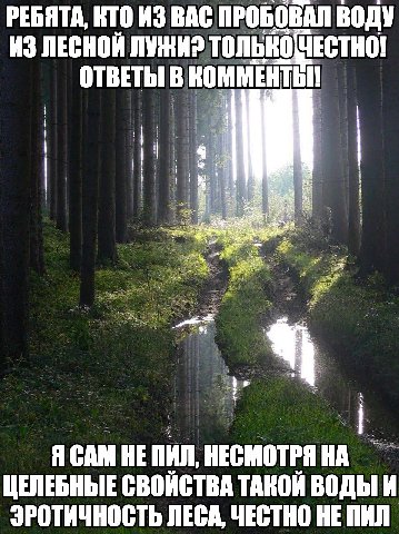 РЕБЯТА, КТО ИЗ ВАС ПРОБОВАЛ ВОДУ ИЗ ЛЕСНОЙ ЛУЖИ? только ЧЕСТНО! ОТВЕТЫ В Я САМ НЕ ПИЛ, НЕСМОТРЯ НА ЦЕЛЕБНЫЕ СВОИСТВА ТАКОЙ ВОДЫ И ЭРОТИЧНОСТЬ ЛЕСА, ЧЕСТНО