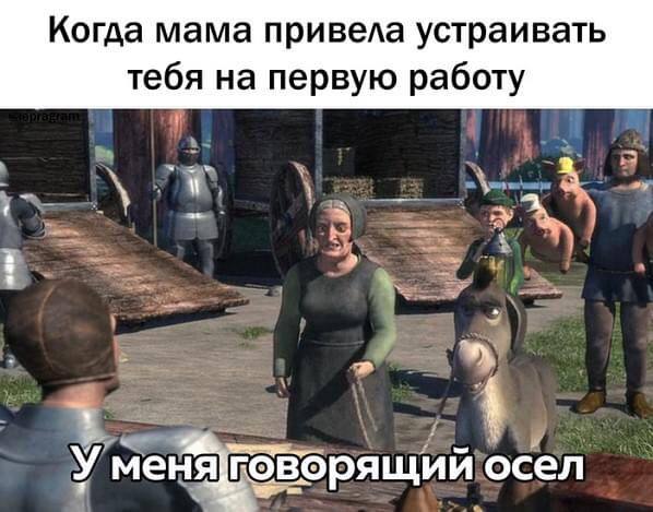 Когда мама привела устраивать тебя на первую работу a A i У меняговорящий осел