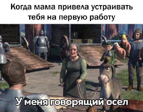 Когда мама привела устраивать тебя на первую работу a A i У меняговорящий осел