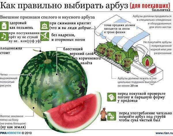Как правильно выбирать арбуз (для noexa альничка ВШИХ) Арбузы должны продаваться Внешние признаки спелого и вкусного арбуза в специально отведенных здоровый при сжимании кряхтит и оборудованных как пе