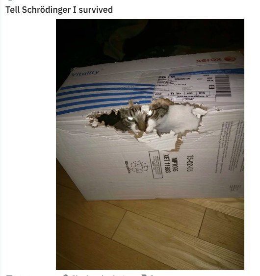 Tell Schrodinger I survived 38