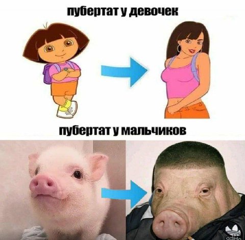 пубертату девочек пубертат у мальчиков
