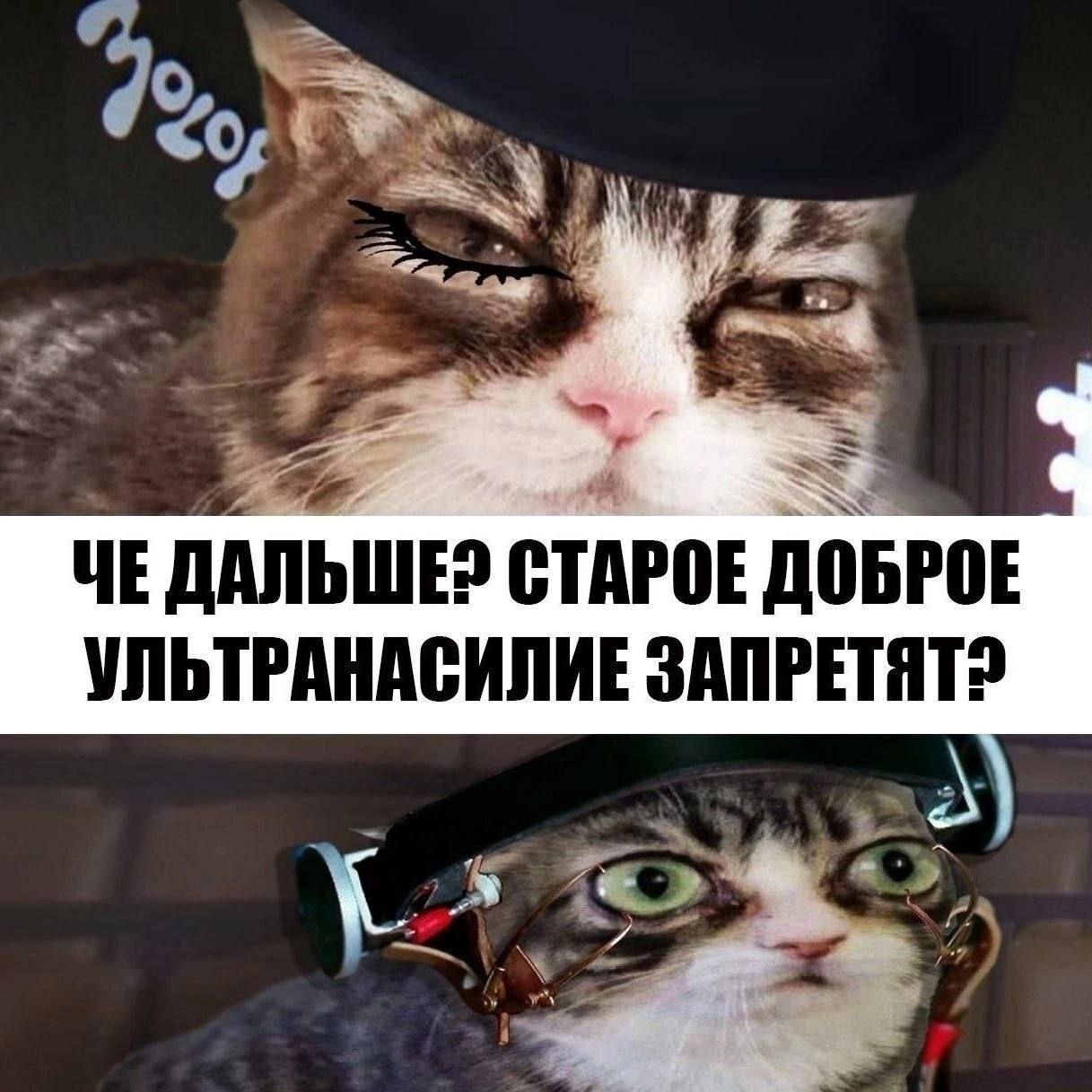 ‘A ЧЕ ДАЛЬШЕ» СТАРОЕ ДОБРОЕ УЛЬТРАНАСИЛИЕ SANPETAT?