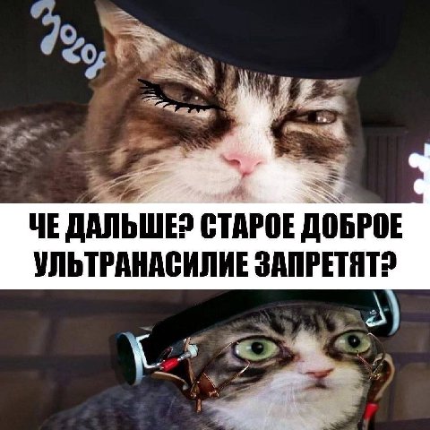 ‘A ЧЕ ДАЛЬШЕ» СТАРОЕ ДОБРОЕ УЛЬТРАНАСИЛИЕ SANPETAT?