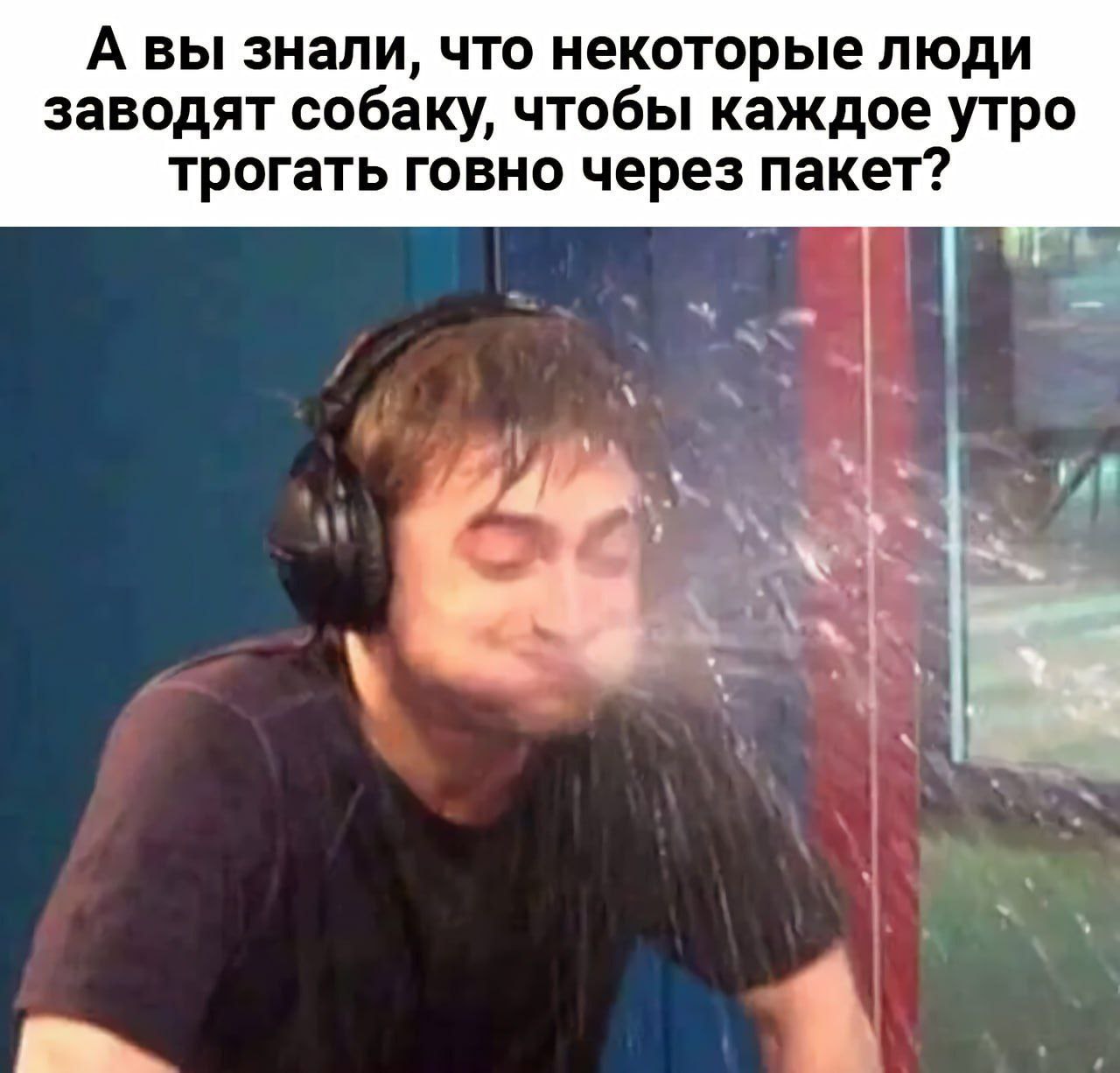 А вы знали, что некоторые люди заводят собаку, чтобы каждое утро трогать говно через пакет?