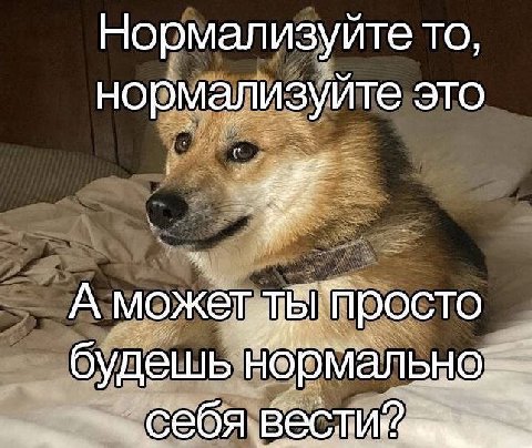 Нормализуйте то, нормализуйте это А может росто будешь Себя