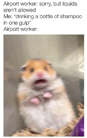 Airport worker: sorry, but liquids allowed Me: a bottle of shampoo in one gulp* Airport worker:
