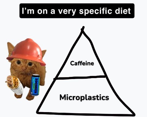 on a very specific diet Microplastics