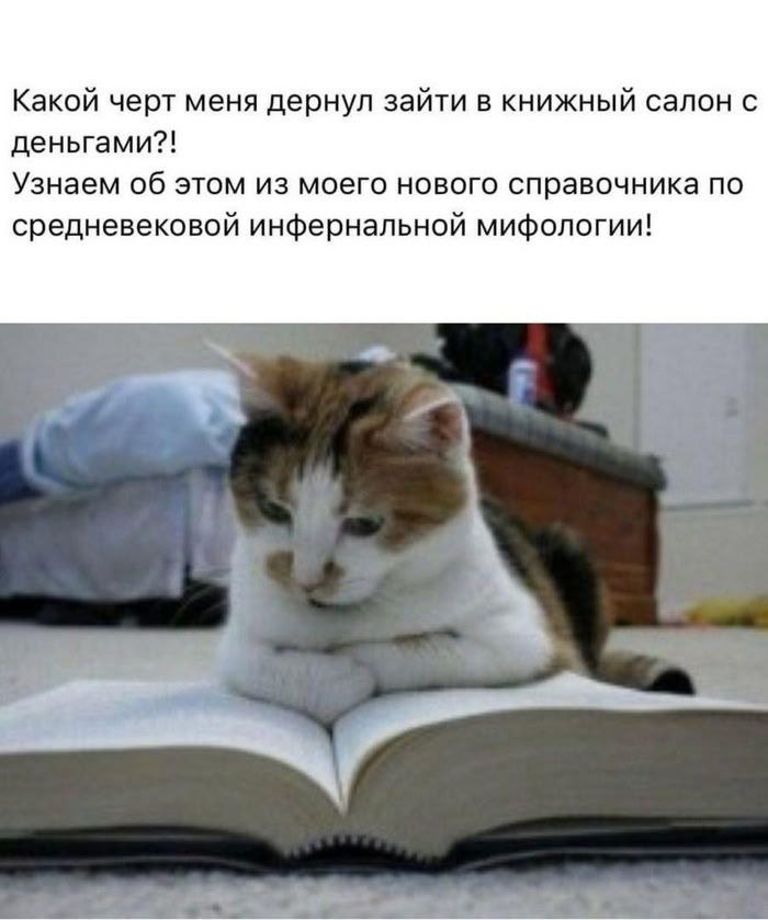 Какой черт меня дернул зайти в книжный салон с деньгами?! Узнаем об этом из моего нового справочника по средневековой инфернальной мифологии!