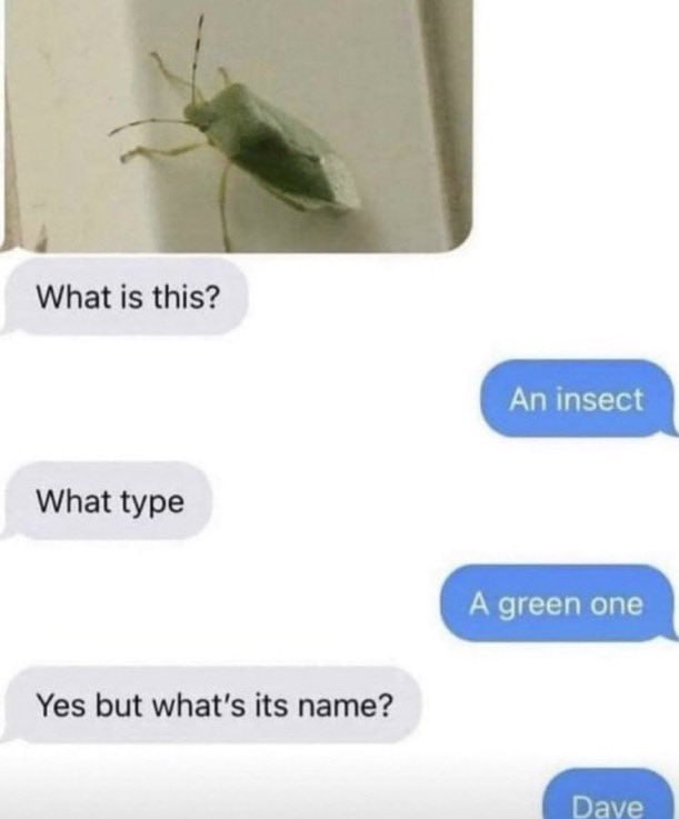 What is this? What type Yes but what's its name?