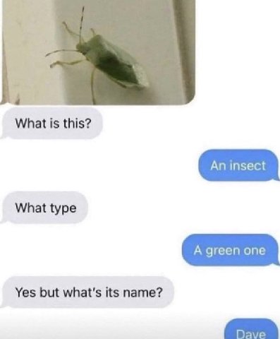 What is this? What type Yes but what's its name?