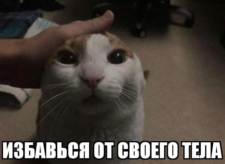 ИЗБАВЬСЯ ОТ СВОЕГО ТЕЛА