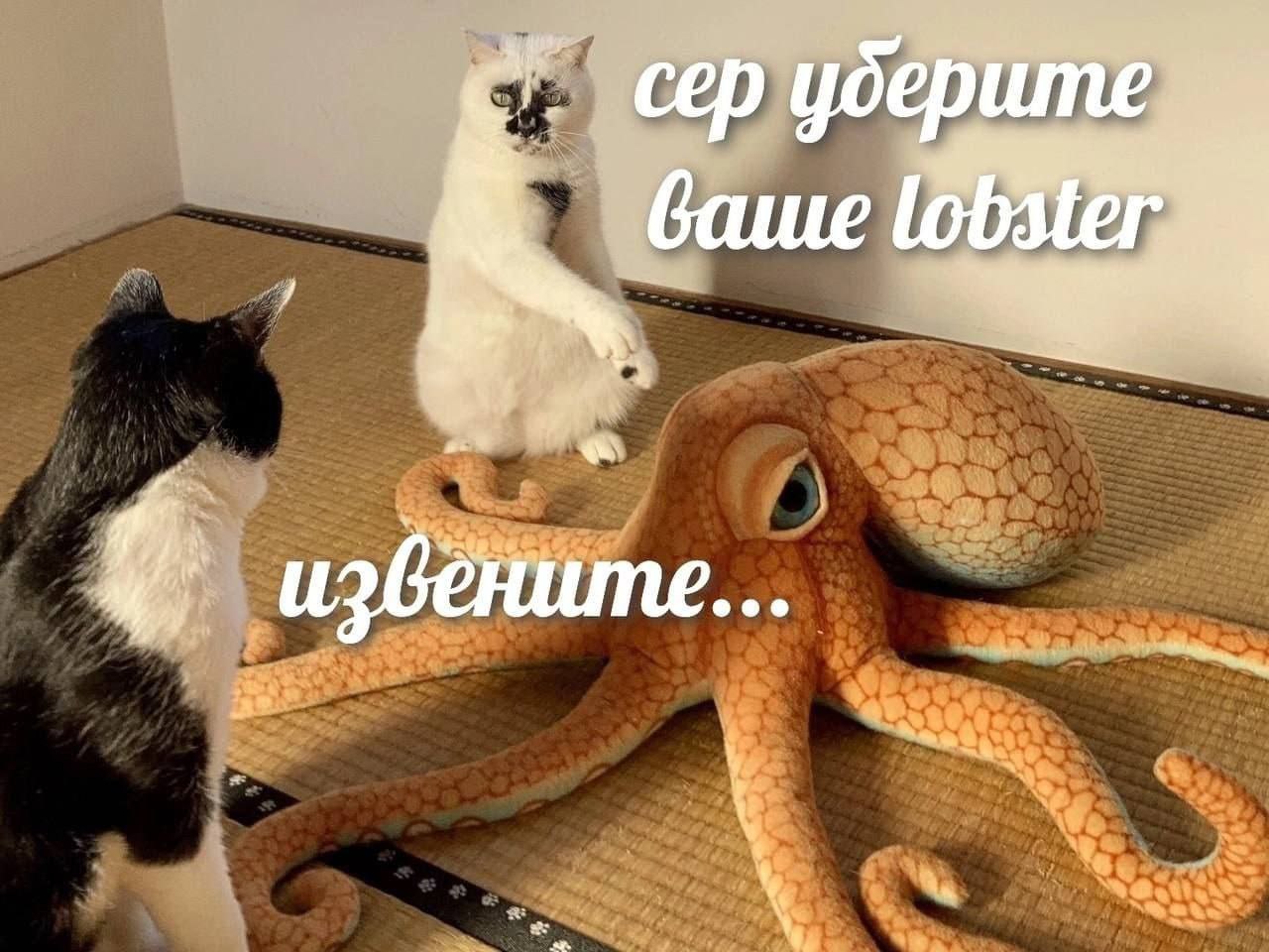 сер уберите 4 У
