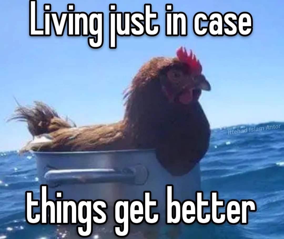 Living just in case things get better