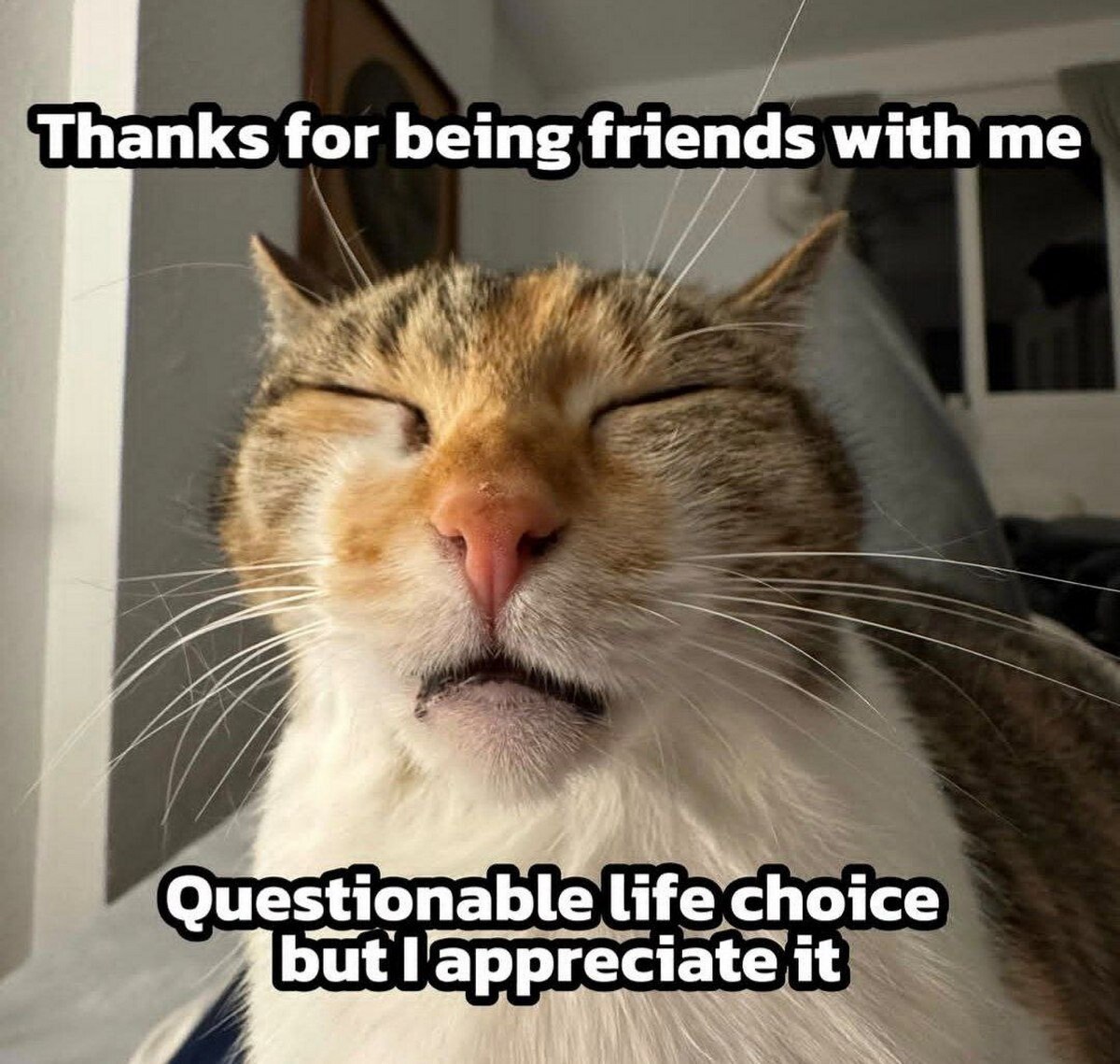 Thanks for being friends with Questionable life choice but appreciate it