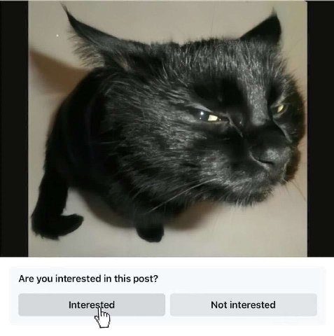 Are you interested in this post? Not interested