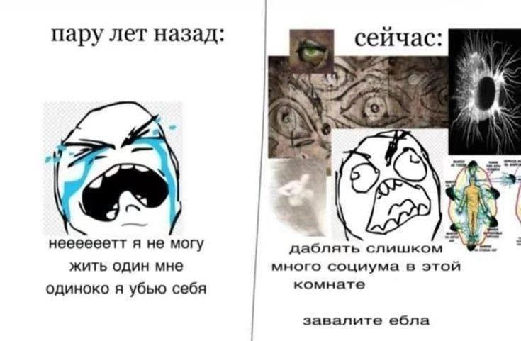 пару лет назад: сейчас неееееетт я не могу даблять слишком жить один мне много социума в этой комнате одиноко я убью себя завалите ебла
