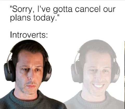 "Sorry, gotta cancel our plans today.’ Introverts: