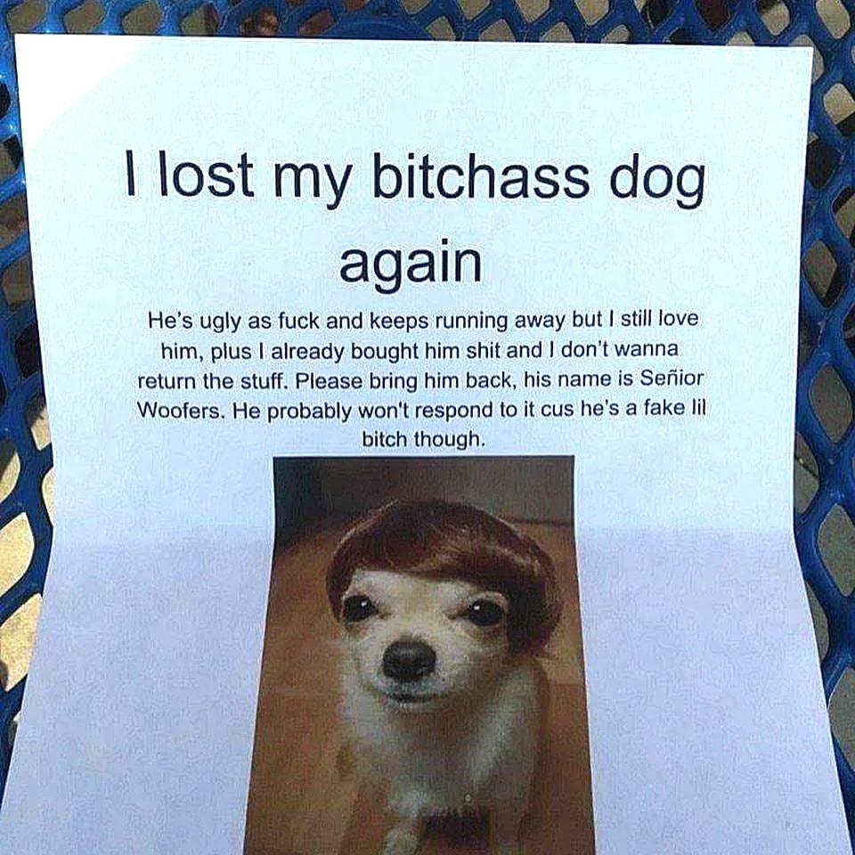 He's ugly as fuck and keeps running away but still love him, plus already bought him shit and don’t wanna return the stuff. Please bring him back, his name is Senior Woofers. He probably won't respond