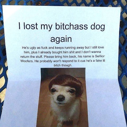 He's ugly as fuck and keeps running away but still love him, plus already bought him shit and don’t wanna return the stuff. Please bring him back, his name is Senior Woofers. He probably won't respond