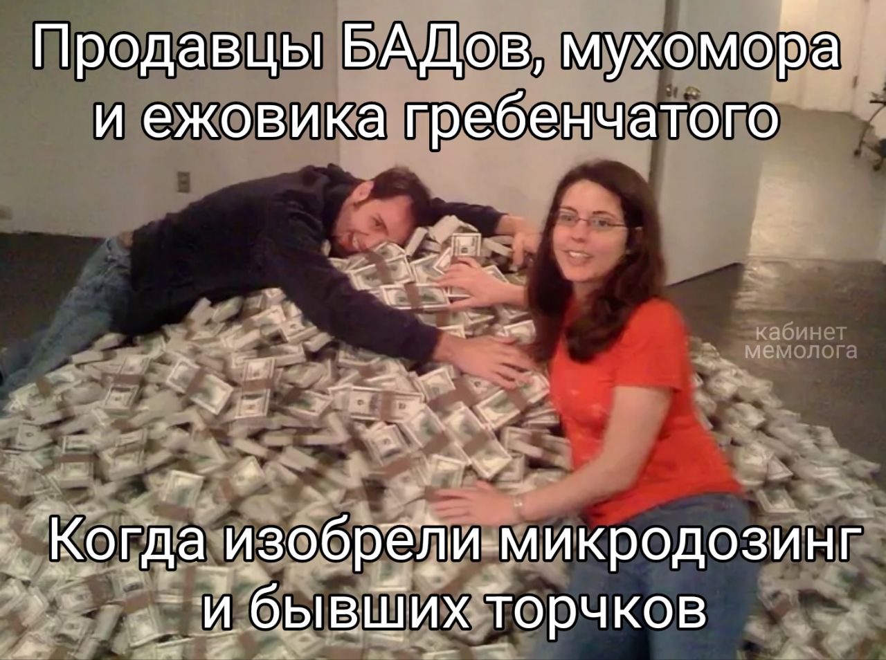 Продавцы БАДов, мухомора и ежовика гребенчатого Когда изобрели микродозинг торчков