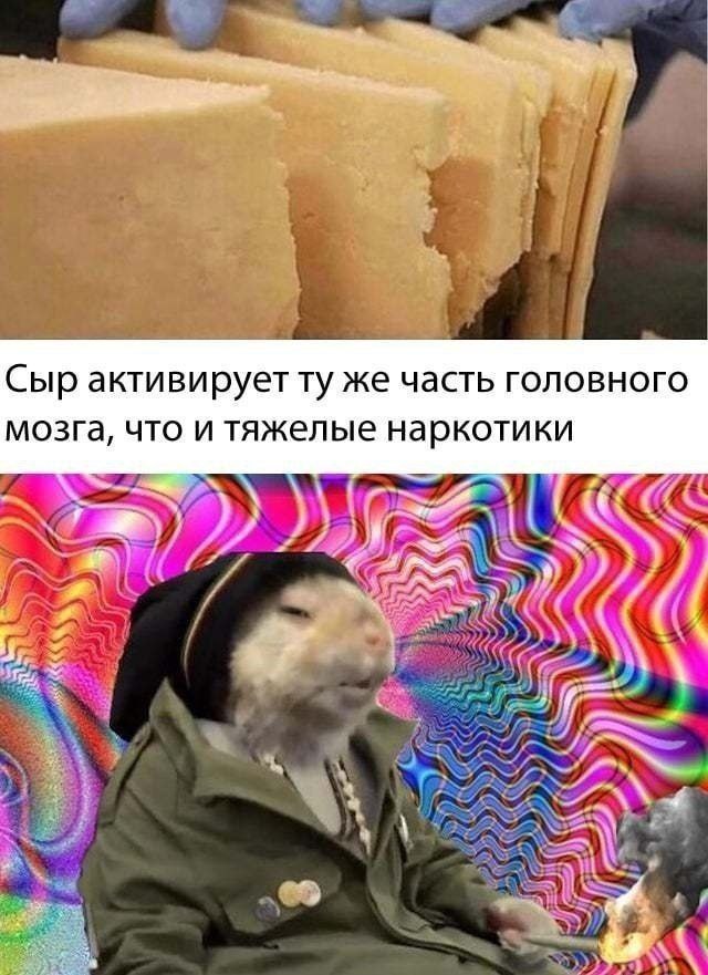 Сыр активирует же часть головного мозга, что и тяжелые наркотики 7