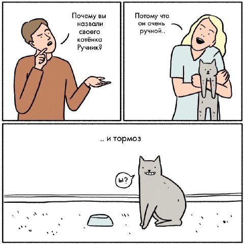 Почему вы Потому что назвали он очень своего ручной.. котёнка Ручник? ..и тормоз