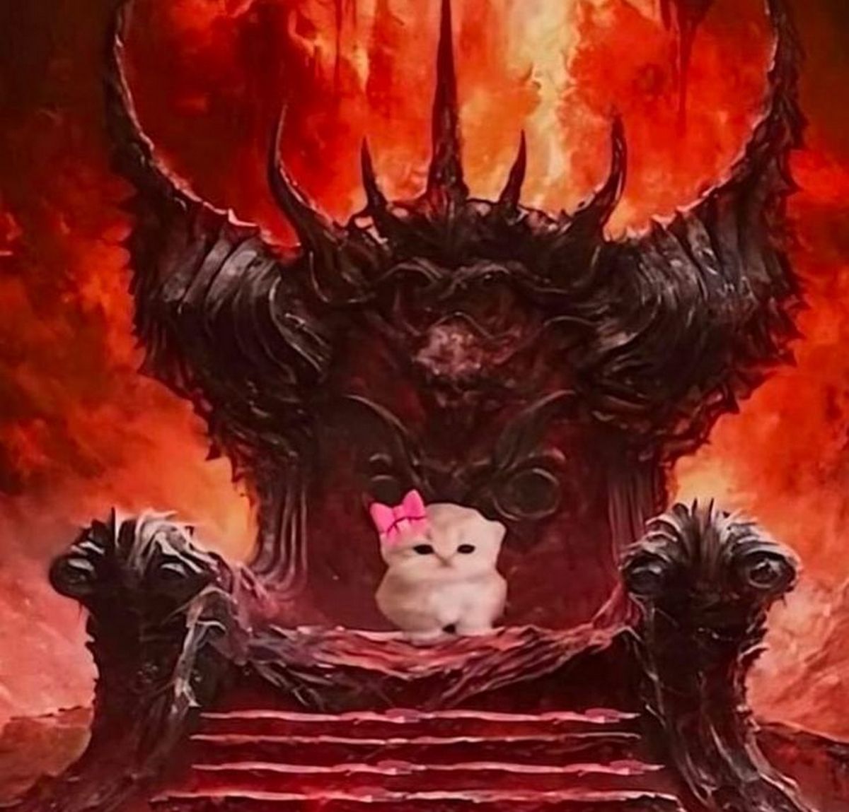 5 я