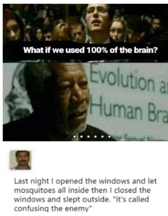 What if we used 100% of the brain? CVO) "4 Ution a eee eee Last night opened the windows and let mosquitoes all inside then closed the windows and siept outside. “it's called confusing the enemy