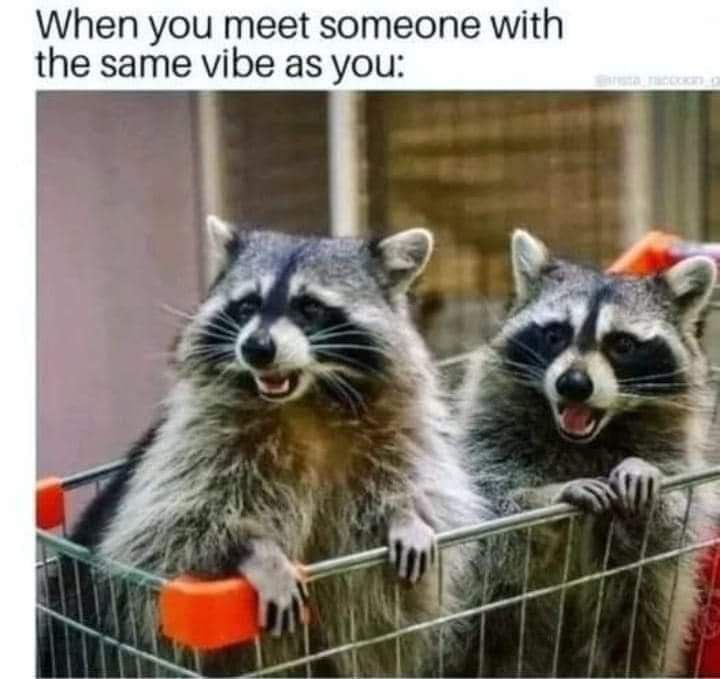 When you meet someone with the same vibe as you: