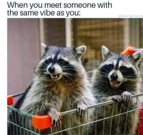 When you meet someone with the same vibe as you: