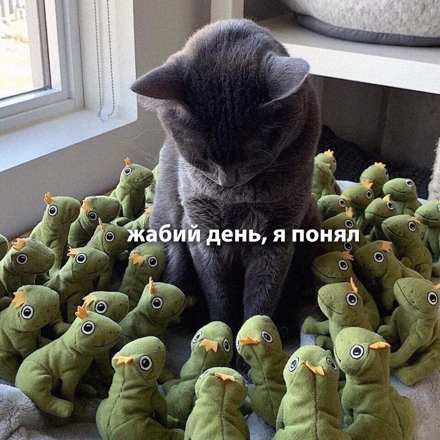 3 я жабий день, я понял
