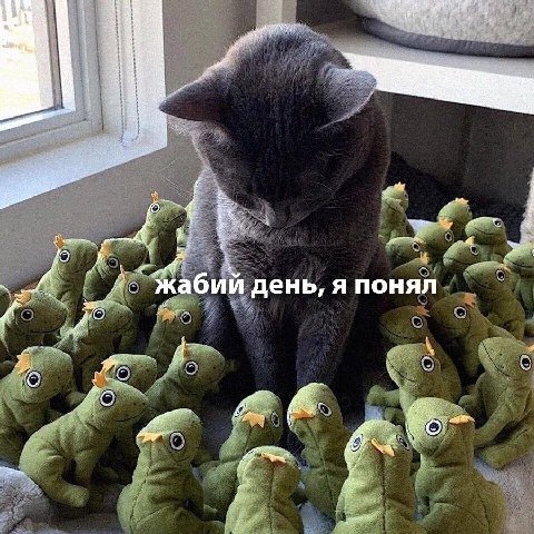 3 я жабий день, я понял